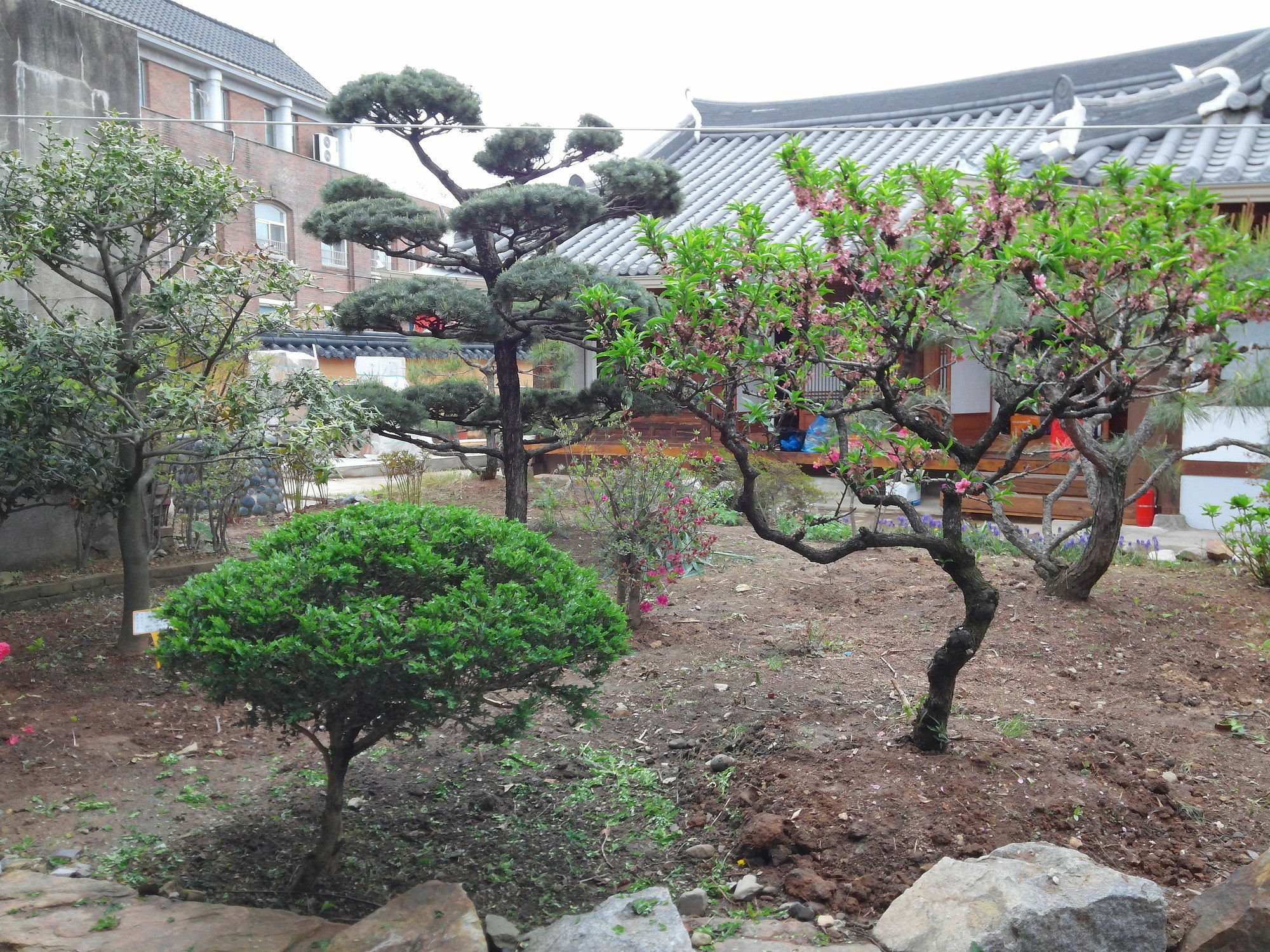Sodamwon Jeonju Luaran gambar