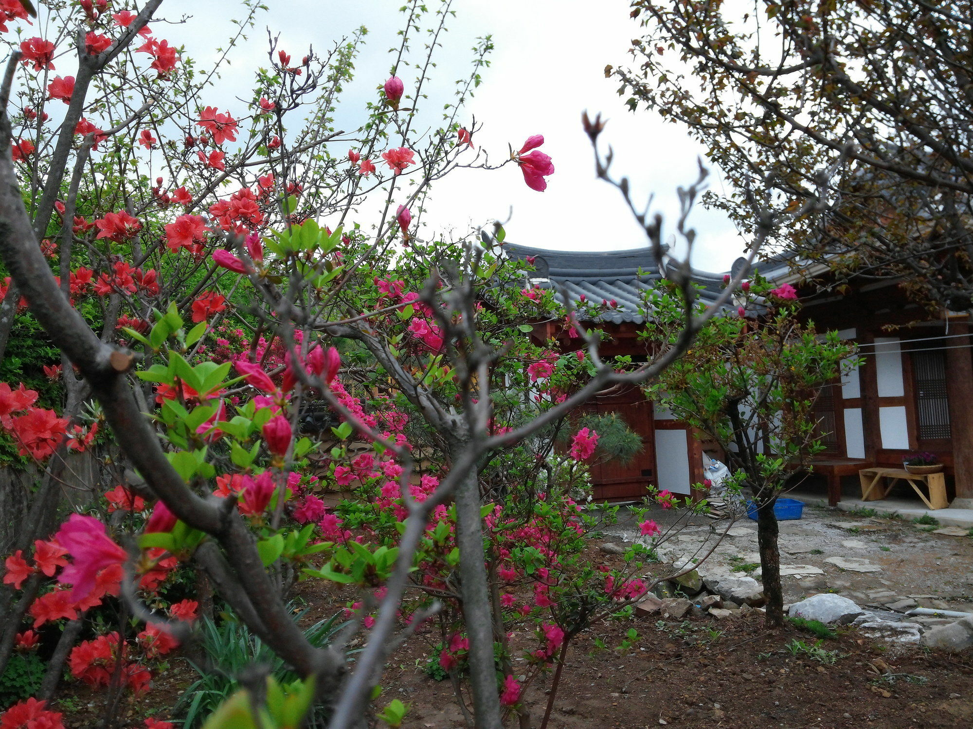 Sodamwon Jeonju Luaran gambar