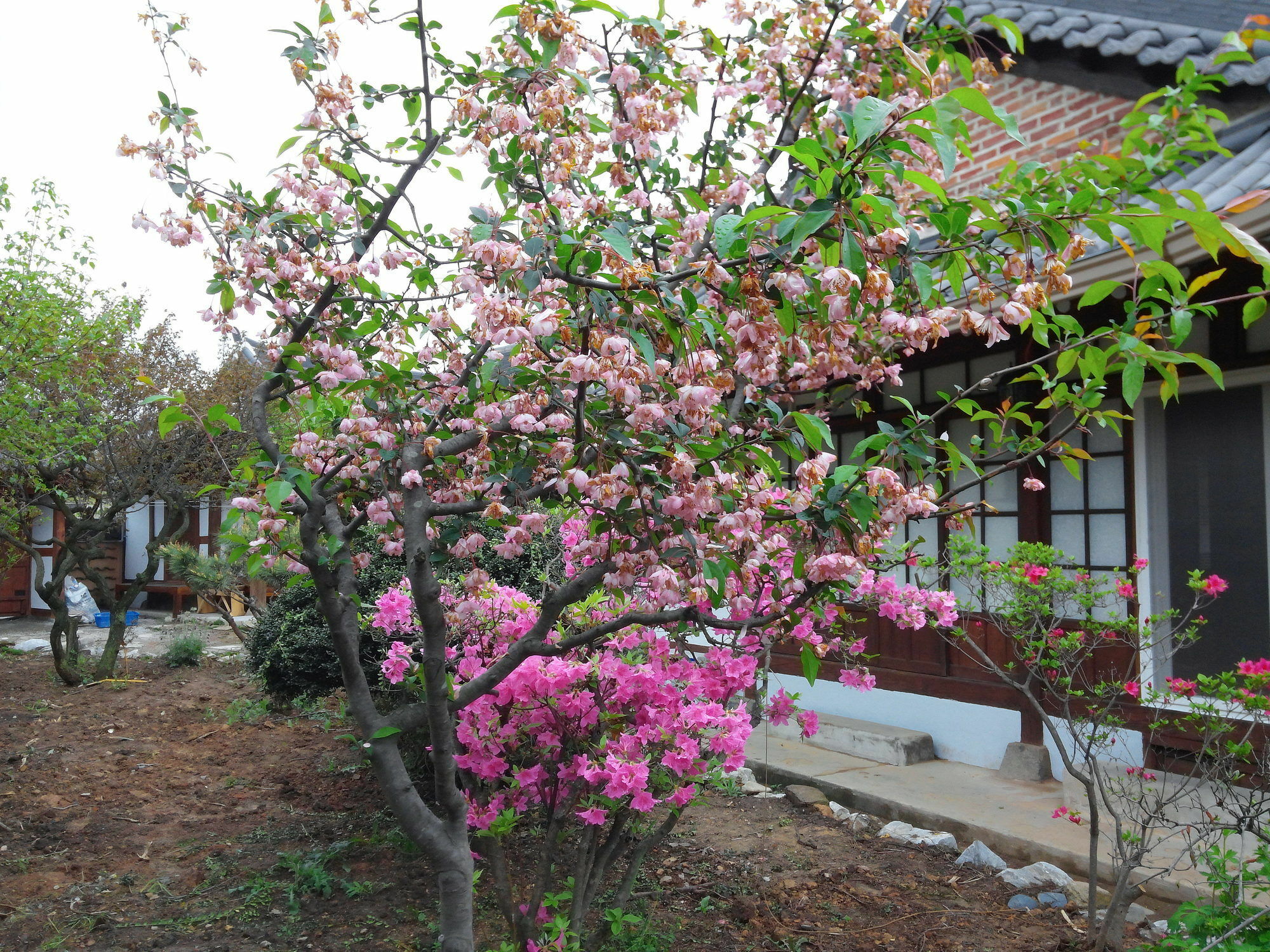Sodamwon Jeonju Luaran gambar
